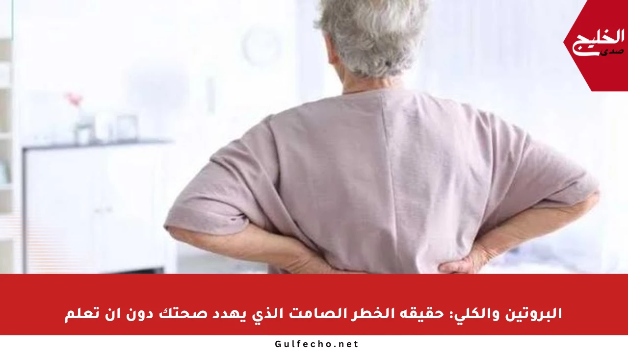 البروتين والكلى: حقيقة الخطر الصامت الذي يهدد صحتك دون أن تعلم